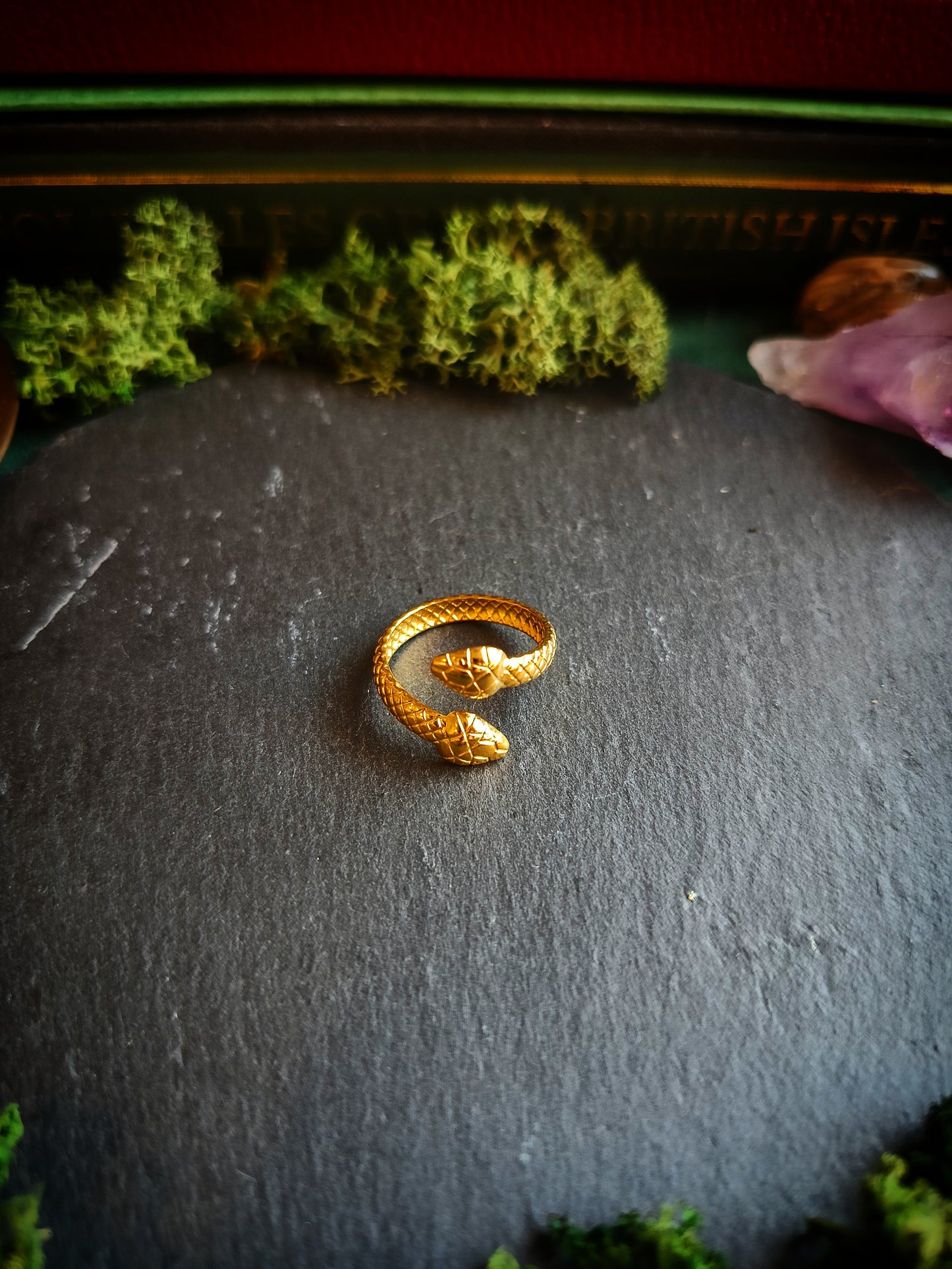 Double Headed Snake Ring