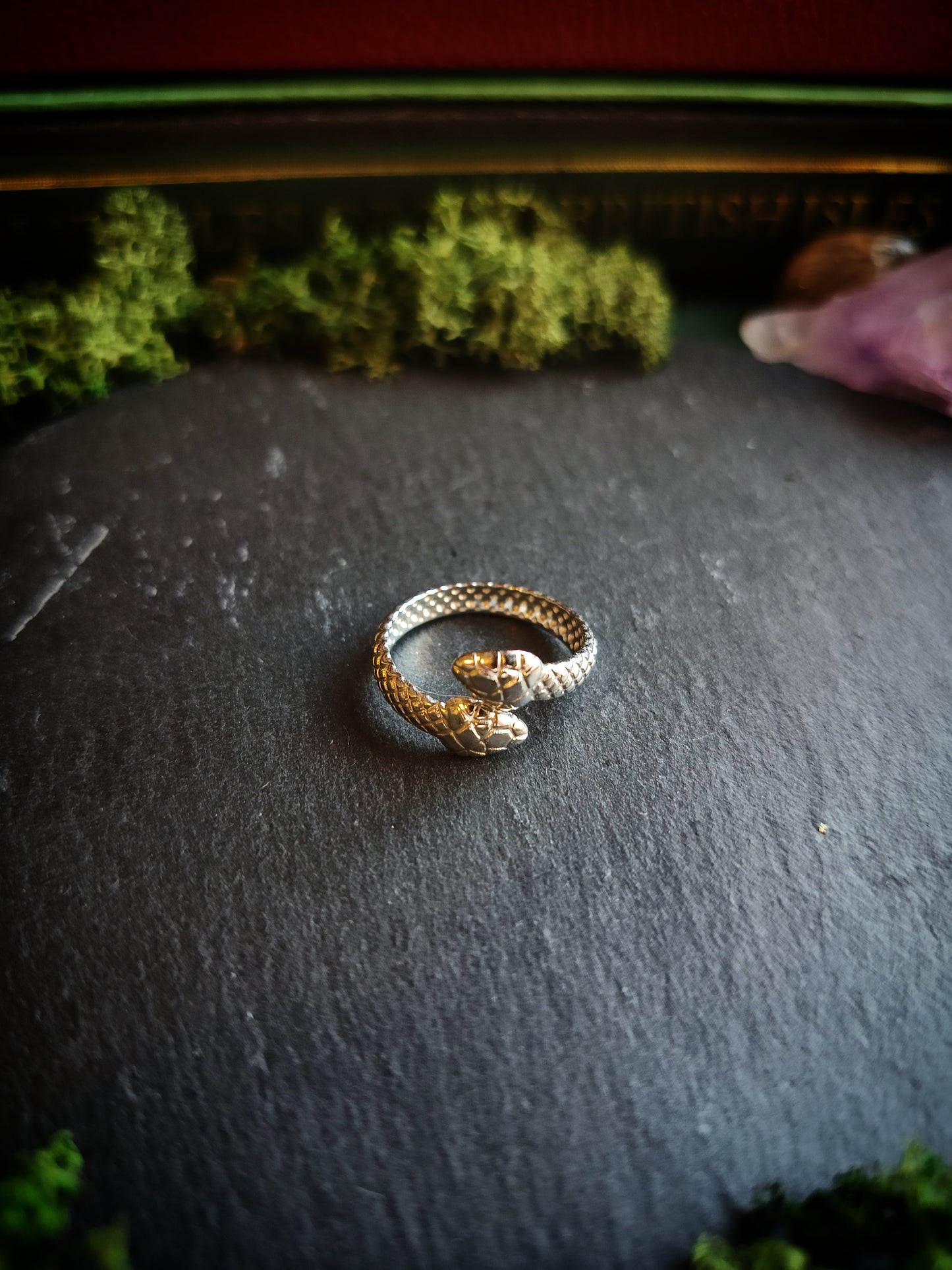 Double Headed Snake Ring