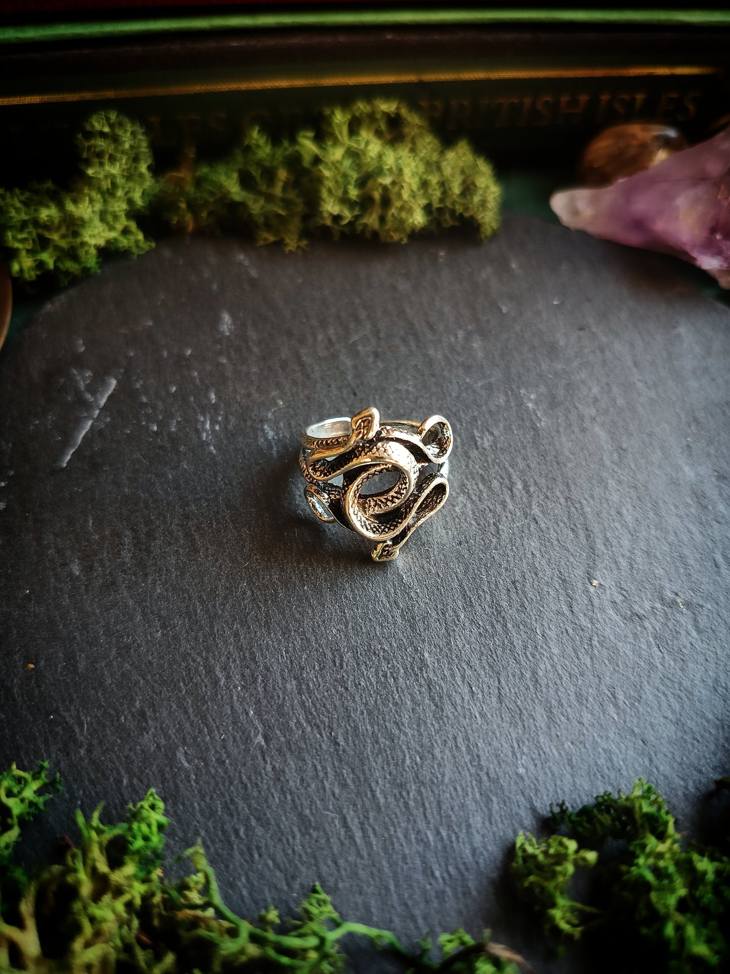 Twin Snakes Ring