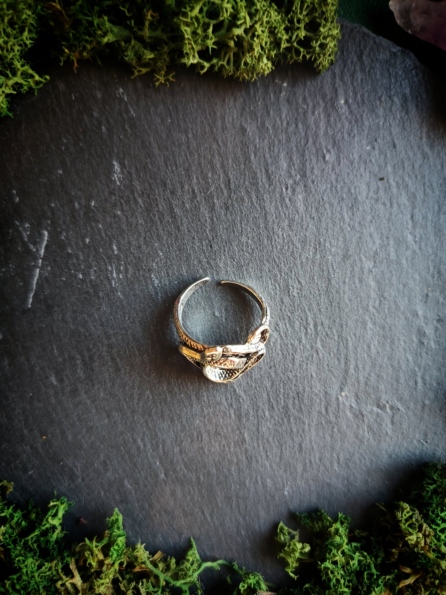 Twin Snakes Ring