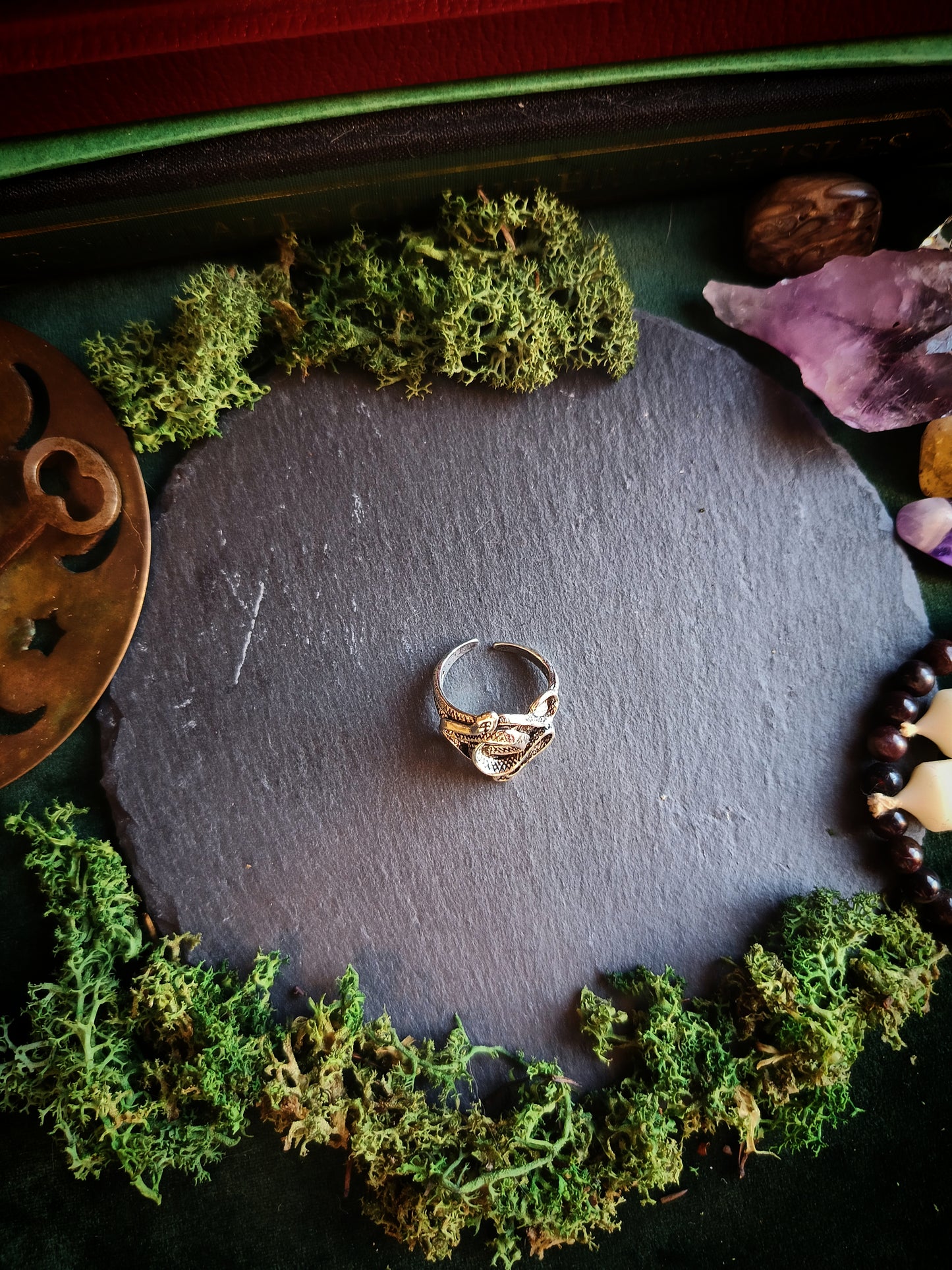 Twin Snakes Ring
